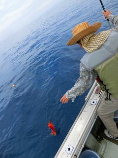 第二清洋丸 釣果