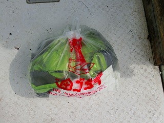 第二清洋丸 釣果