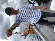 NAGASHIMA MARU(永島丸) 釣果