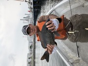 NAGASHIMA MARU(永島丸) 釣果