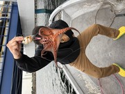 ＮＡＧＡＳＨＩＭA ＭＡＲＵ（永島丸） 釣…