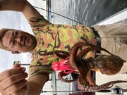 NAGASHIMA MARU(永島丸) 釣果