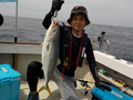 釣船 キティ 釣果