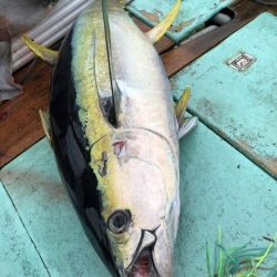 Sea Frend 片山丸 釣果