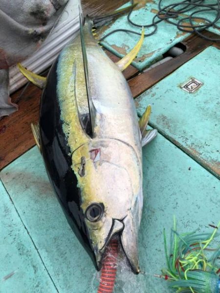 Sea Frend 片山丸 釣果