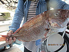 遊漁船 未紗奈 釣果