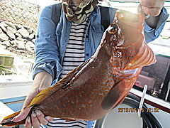 遊漁船 未紗奈 釣果