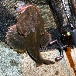 エサで狙うロックフィッシュ【そ～あ氏連載 vol.10】