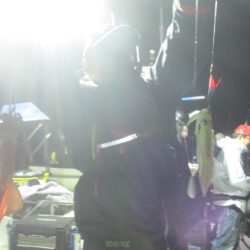 ジギング船 BLUEWATER 釣果