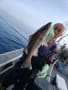 里輝丸 釣果