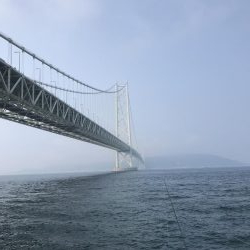 アジしかいない