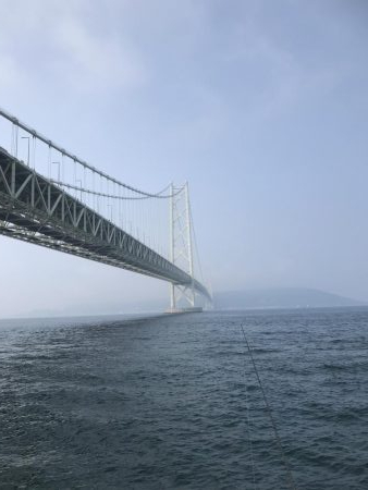 アジしかいない