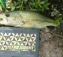 クランクで初バス