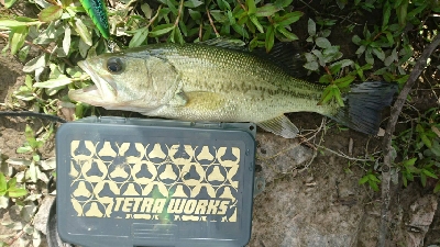 クランクで初バス