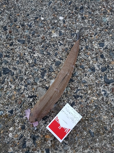 ボトムを攻めるも