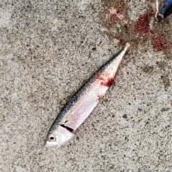 射程距離外でアウト