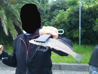 チョイ投げキス＆ライトロックゲーム