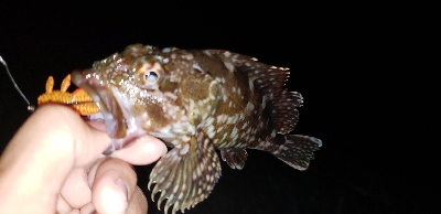 ナイトチニング