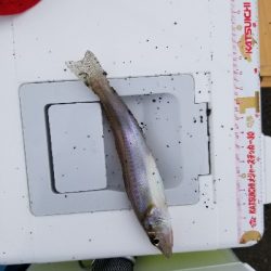 今日は近場で？