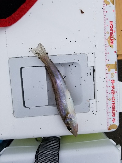 今日は近場で？