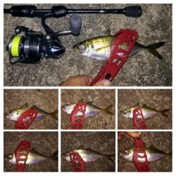 アジンガー1818〜2125