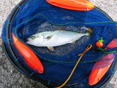 久しぶりの釣行