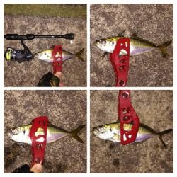 アジンガー1910〜2025