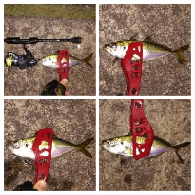 アジンガー1910〜2025