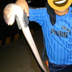 貧果ですが・・・