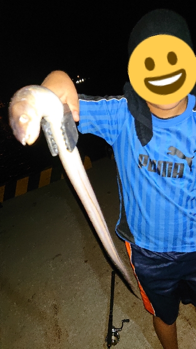 貧果ですが・・・