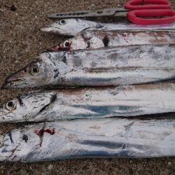 渋い中でも…結果出た‼️