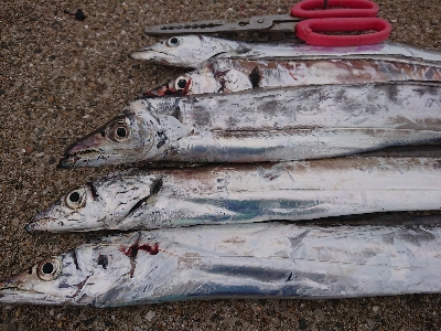 渋い中でも…結果出た‼&#x…