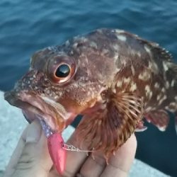 ボトムアタック