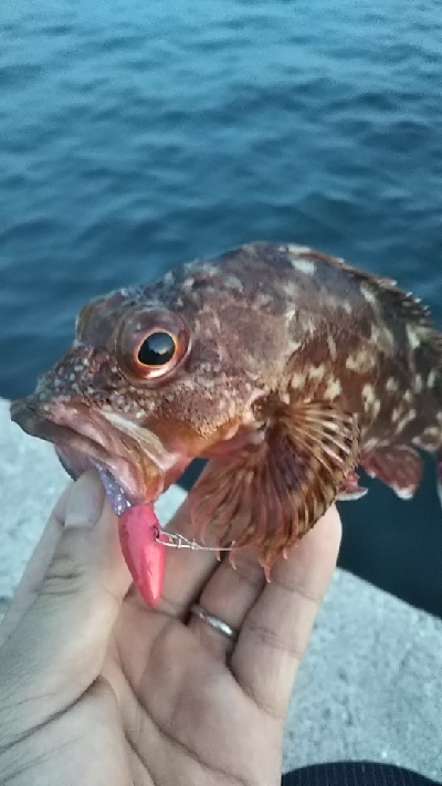 ボトムアタック