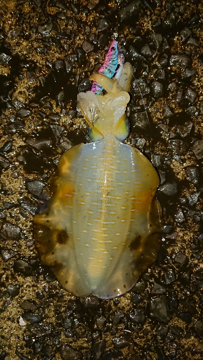 人気のない漁港