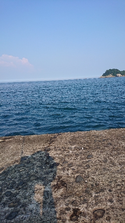 今日もツバス狙い。