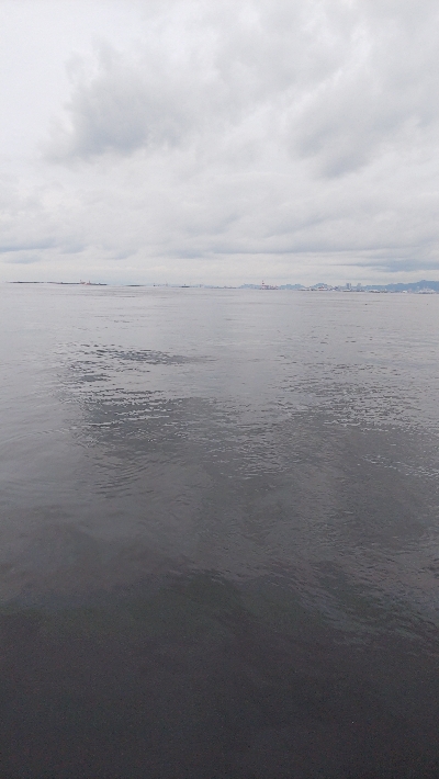 もうちょいでハマチ