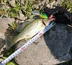 またもやクランク