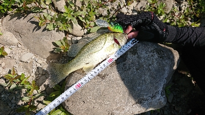 またもやクランク