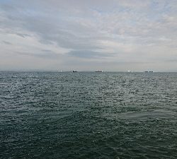 しぶしぶショアジギング