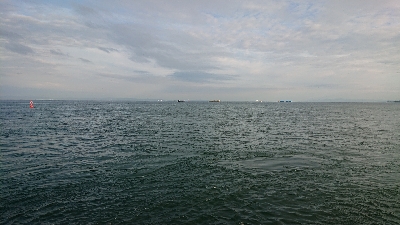 しぶしぶショアジギング