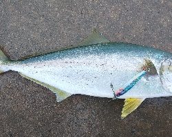 腰抜けそう( ;∀;)