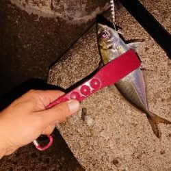 サバゲームのはずが。