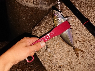 サバゲームのはずが。