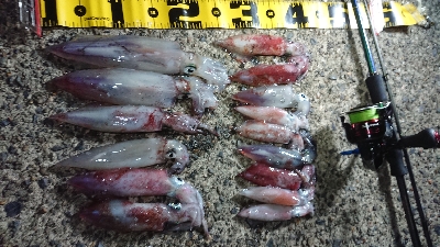 仕事終わりケンサキエギング