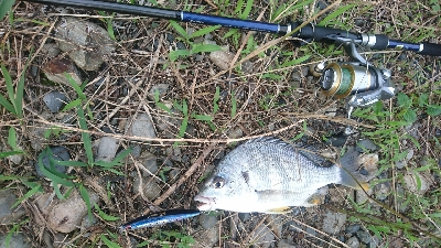 宿毛市松田川にて