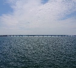 釣り部  釣行記  33