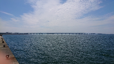 釣り部  釣行記  33