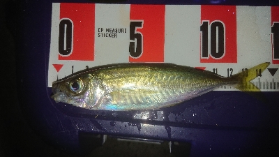 マメージングである