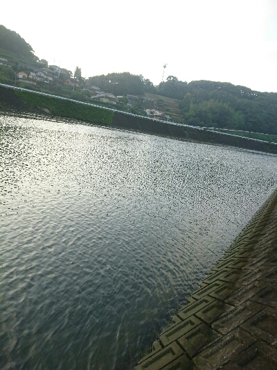 今朝の釣果